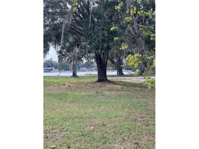 Lake Padgett Lot For Sale in Land O Lakes Florida