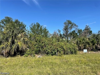 Vacant residential lot located in the desirable deed-restricted - photo 1