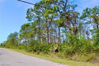 Port Charlotte Waterway Lakes Area Lot For Sale in Port Charlotte Florida