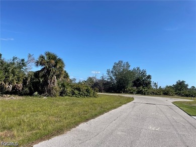 Vacant residential lot located in the desirable deed-restricted - photo 3