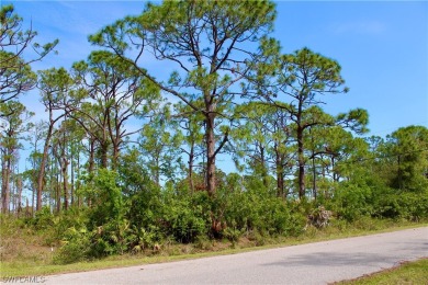 **PRICE REDUCED!! Welcome to your future Dream Home site! This - photo 4