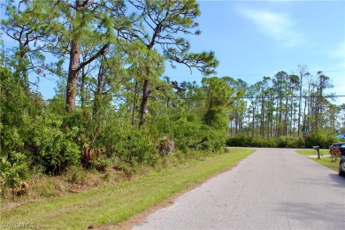 **PRICE REDUCED!! Welcome to your future Dream Home site! This - photo 5