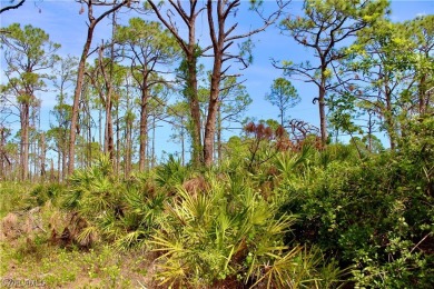 **PRICE REDUCED!! Welcome to your future Dream Home site! This - photo 8