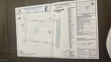 Lehigh Acres Area Lot For Sale in Lehigh Acres Florida