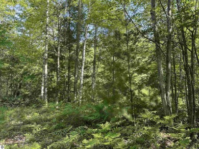 (private lake, pond, creek) Lot For Sale in Cadillac Michigan