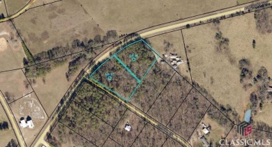 Lake Lot Sale Pending in Elberton, Georgia