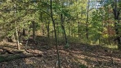 Lake Loch Lomond Lot For Sale in Bella Vista Arkansas