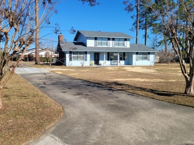 Lake Home For Sale in Alma, Georgia