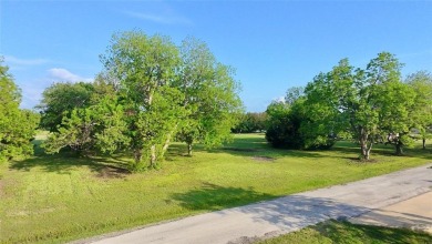 Lake Lot For Sale in Kerens, Texas