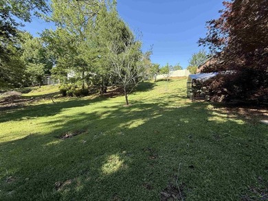 Affordable Lake Living Bring your boat, your jet skis, and your - photo 33