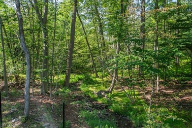 This stunning colonial is set on nearly 2 acres at the end of a - photo 41