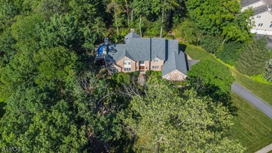This stunning colonial is set on nearly 2 acres at the end of a - photo 43