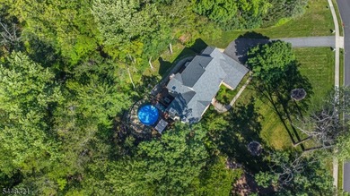 This stunning colonial is set on nearly 2 acres at the end of a - photo 48