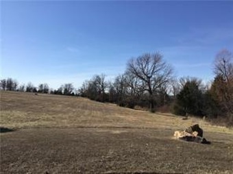(private lake, pond, creek) Lot For Sale in Van Buren Arkansas