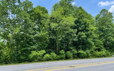 2.8+ ACRES, PRIVATE LAKEFRONT ESTATE OR COMMERCIAL TRACT ON HWY - Lake Lot For Sale in Hiawassee, Georgia