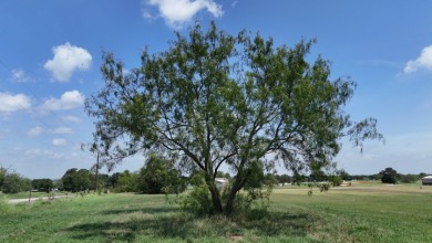 1.01 Acre Homesite in Lake Subdivision - Streetman, TX - photo 21