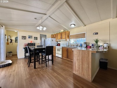 EXCELLENT CONDITION! 1984, 924 sq ft 2 bed, 2 bath manufactured - photo 7