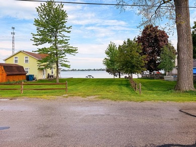 Rare find in Manitou Beach: dedicated pontoon boat garage behind - photo 4