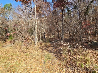 This Badin Lake water view property is located in the Lakeshore - photo 6