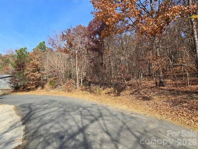 This Badin Lake water view property is located in the Lakeshore - photo 8