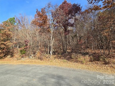 This Badin Lake water view property is located in the Lakeshore - photo 9