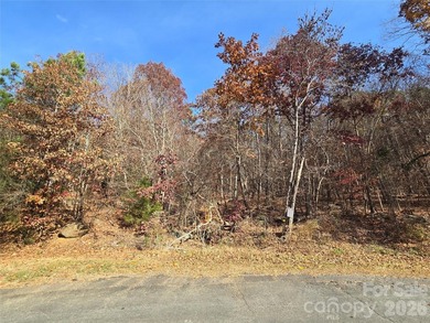 This Badin Lake water view property is located in the Lakeshore - photo 10