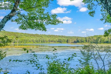 Lake Acreage For Sale in Summit, New York