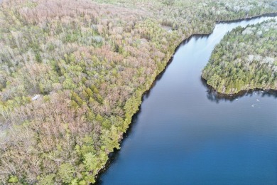 Lake Acreage For Sale in Holden, Maine