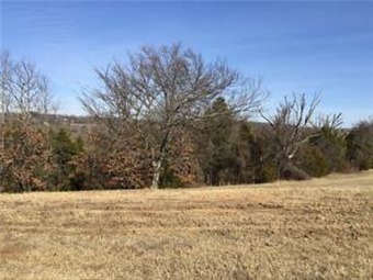 (private lake, pond, creek) Lot For Sale in Van Buren Arkansas