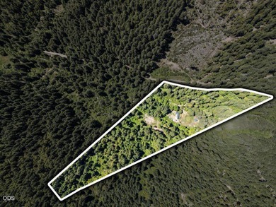 Remote, private, and surrounded by nature, this off-grid hunting - photo 3