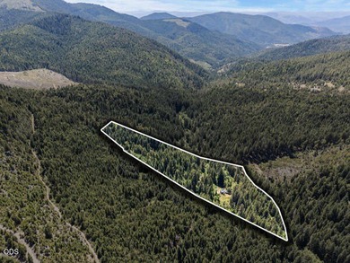 Remote, private, and surrounded by nature, this off-grid hunting - photo 4