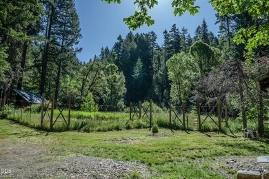 Remote, private, and surrounded by nature, this off-grid hunting - photo 5