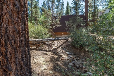 Vacant Land Opportunity - Kern Ave, Sugarloaf, CA 92386 Located - photo 12