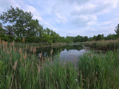 Lake Acreage For Sale in Westville, Indiana