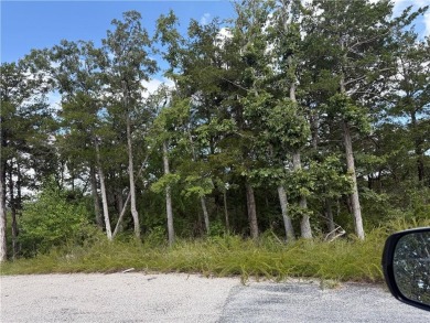 Lake Acreage For Sale in Eureka Springs, Arkansas