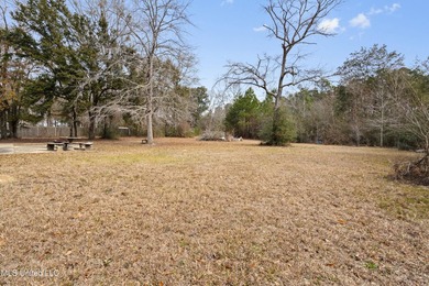 Opportunity awaits on this expansive +/- 37-acre property - photo 44