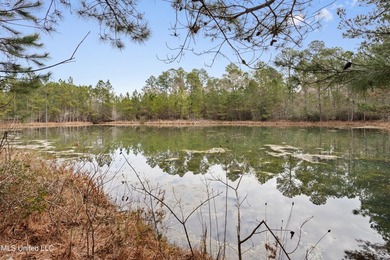 Opportunity awaits on this expansive +/- 37-acre property - photo 45