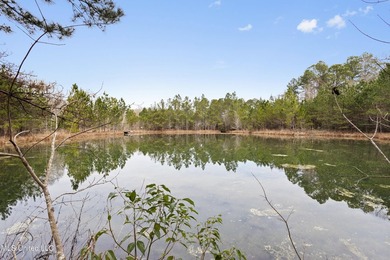 Opportunity awaits on this expansive +/- 37-acre property - photo 46