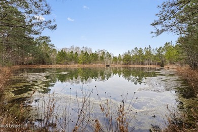 Opportunity awaits on this expansive +/- 37-acre property - photo 47