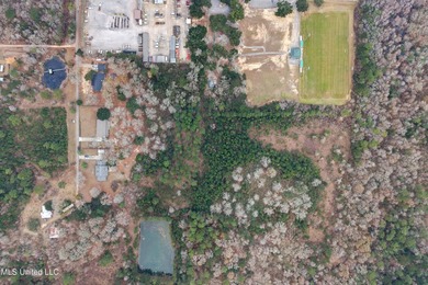Opportunity awaits on this expansive +/- 37-acre property - photo 50