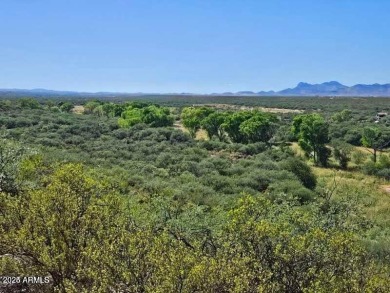 Lake Acreage For Sale in Huachuca City, Arizona