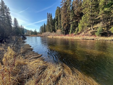 (private lake, pond, creek) Acreage For Sale in Seeley Lake Montana