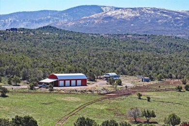 Lake Home For Sale in Molina, Colorado