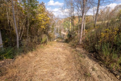 4+ unrestricted acres on gorgeous Smith  Lake featuring 228ft of - photo 17