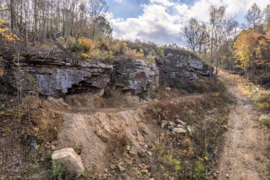 4+ unrestricted acres on gorgeous Smith  Lake featuring 228ft of - photo 20
