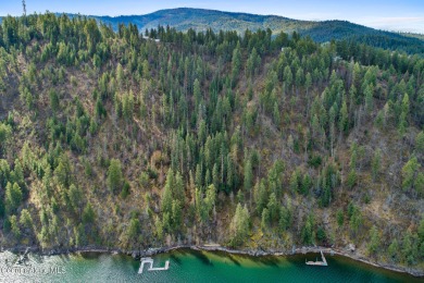 Coeur d Alene Lake Acreage For Sale in Harrison Idaho