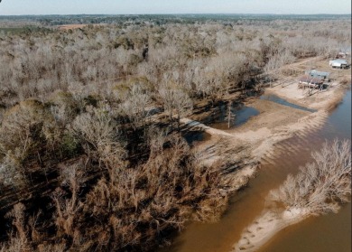 Lake Lot For Sale in Surrency, Georgia