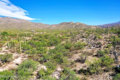 (private lake, pond, creek) Acreage For Sale in Tucson Arizona