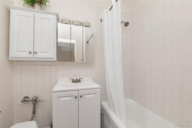 Renovated Studio at Historic Beechhurst Towers with only 10% - photo 7