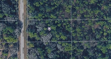 Lehigh Acres Area Lot For Sale in Lehigh Acres Florida